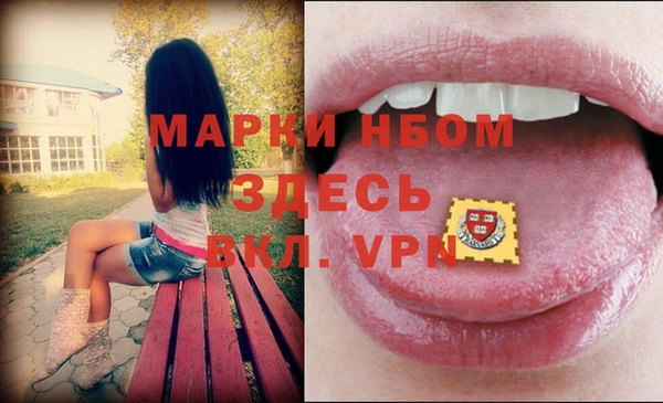 амф Аркадак