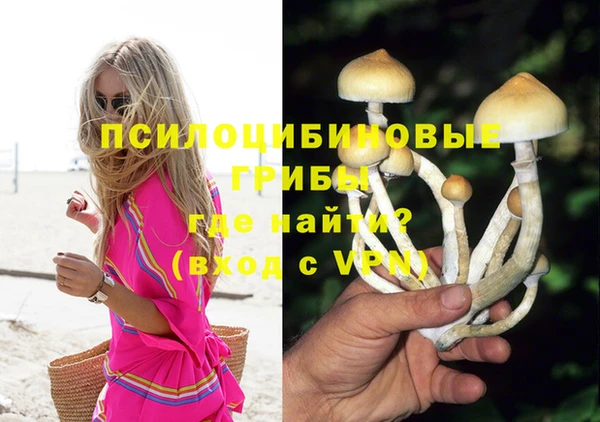 амф Аркадак