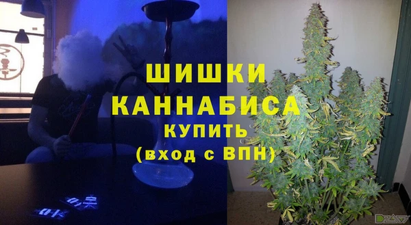 амф Аркадак