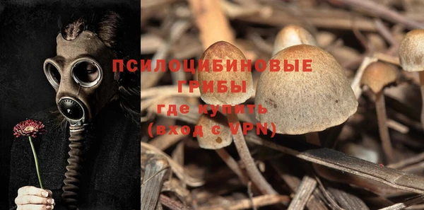 амф Аркадак