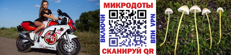 Псилоцибиновые грибы ЛСД  Купить  Горбатов 